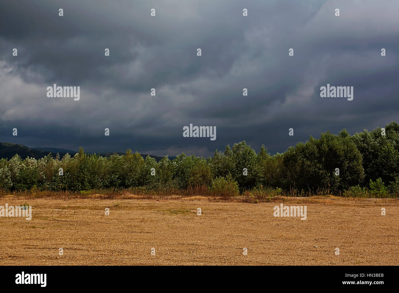 Landscape with trees and stormy clouds Stock Photo - Alamy