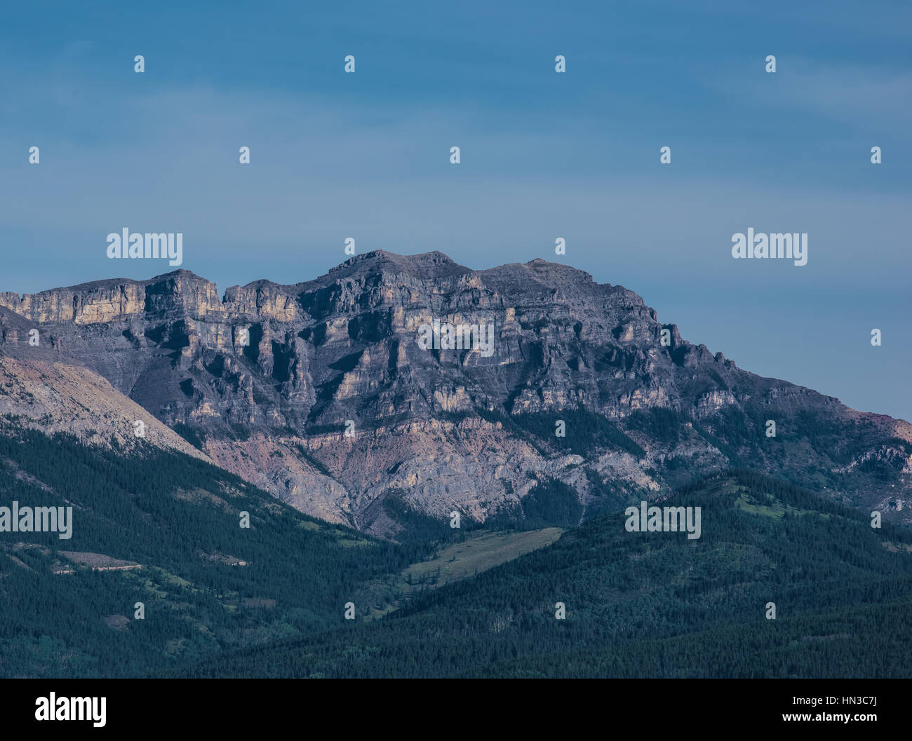 Tree covered mountains in the Canadian Rockies Stock Photo