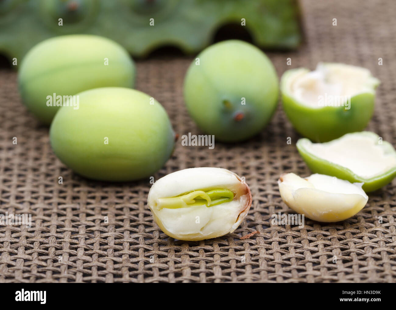 Fresh green lotus seed (lotus nut) on black plate Stock Photo Alamy