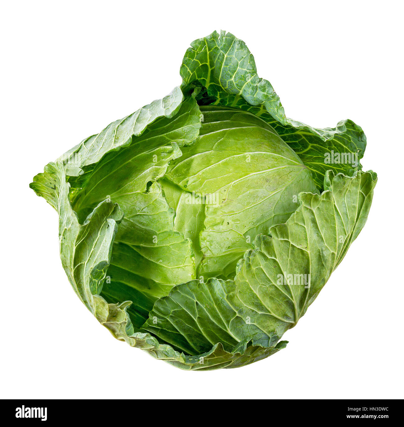 Cabbage Isolated Cabbage isolated on white background Stock Photo - Alamy
