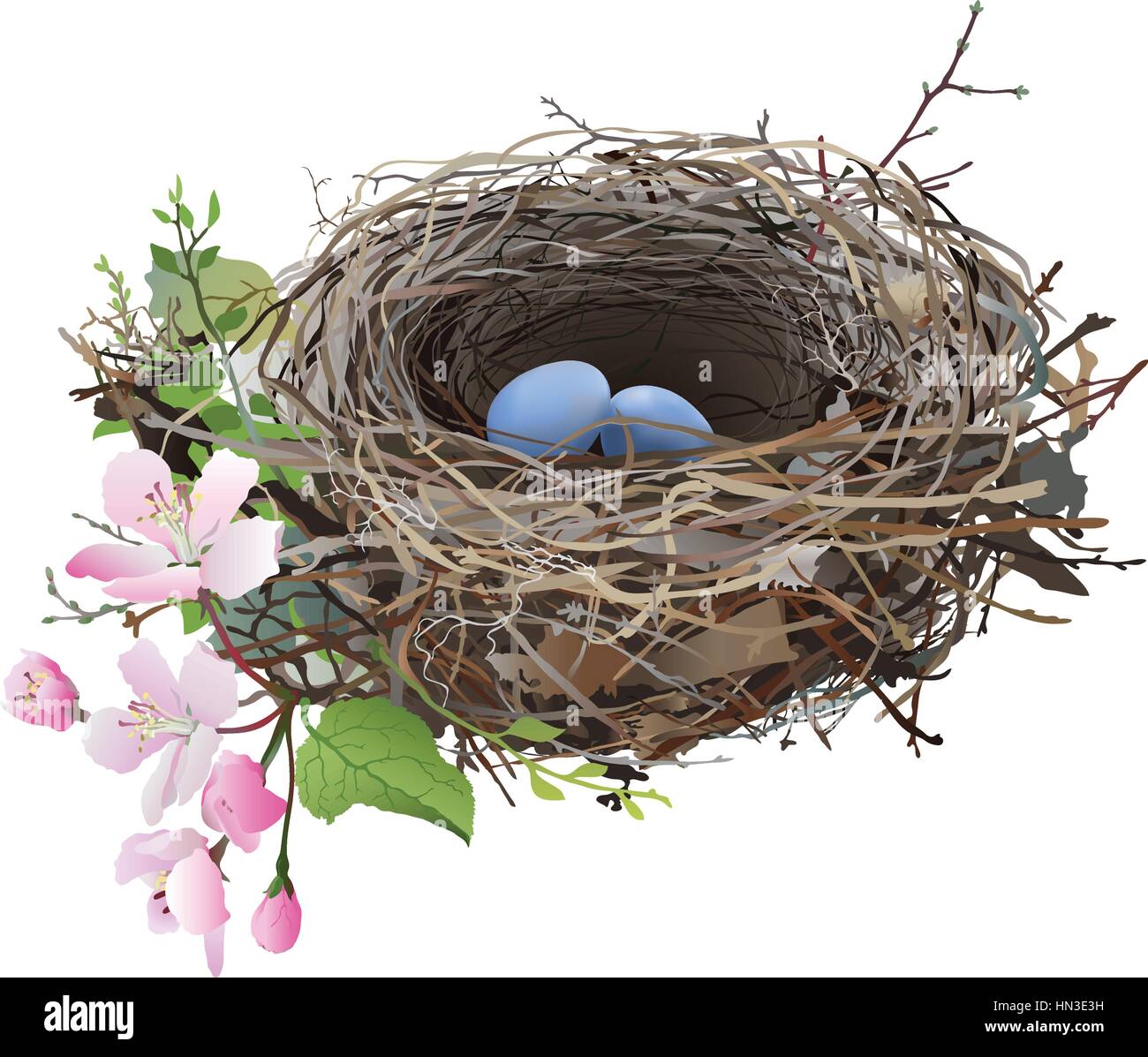 A bird's nest with blue eggs, surrounded by sprig flowers and green ...