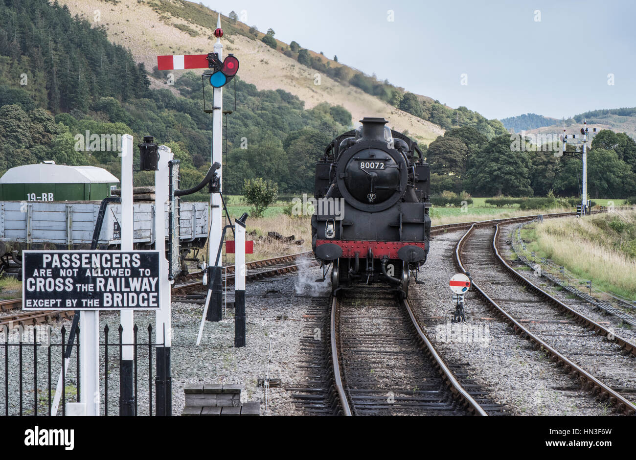 Llangollen Railway steam train approaching Carrog station, North Wales Stock Photo