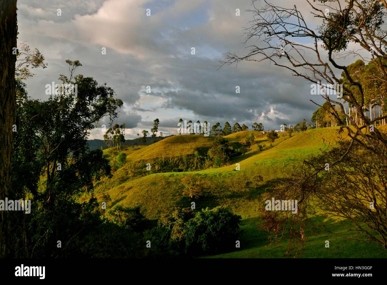 Colombia landscape hi-res stock photography and images - Alamy