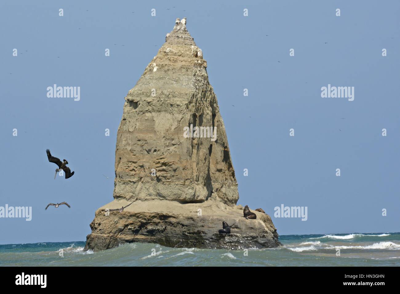 Birds flying over the ocean of Puna Island in the Gulf of Guayaquil. Stock Photo