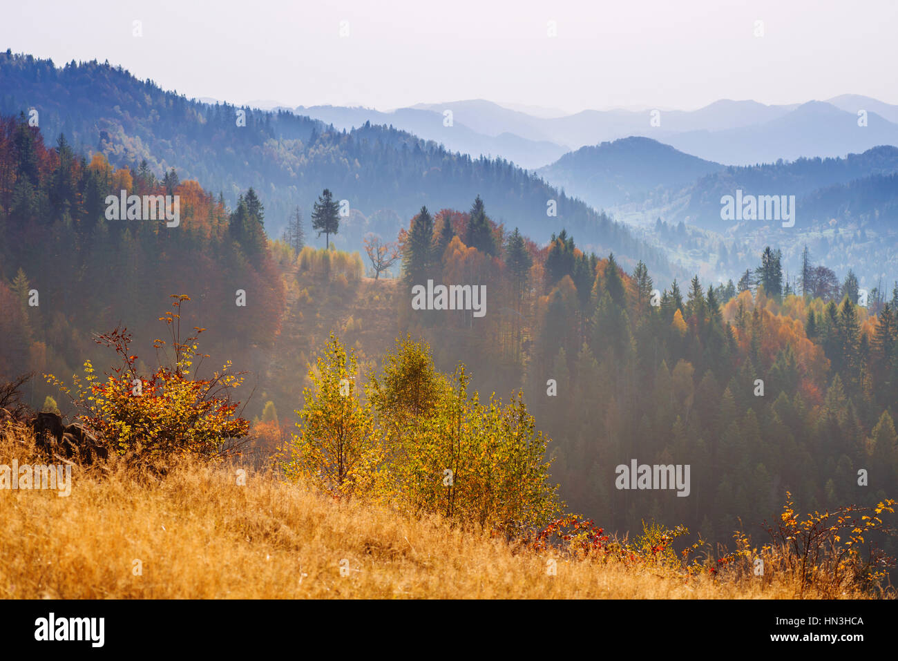 Scenic Autumn Landscape Stock Photo - Alamy