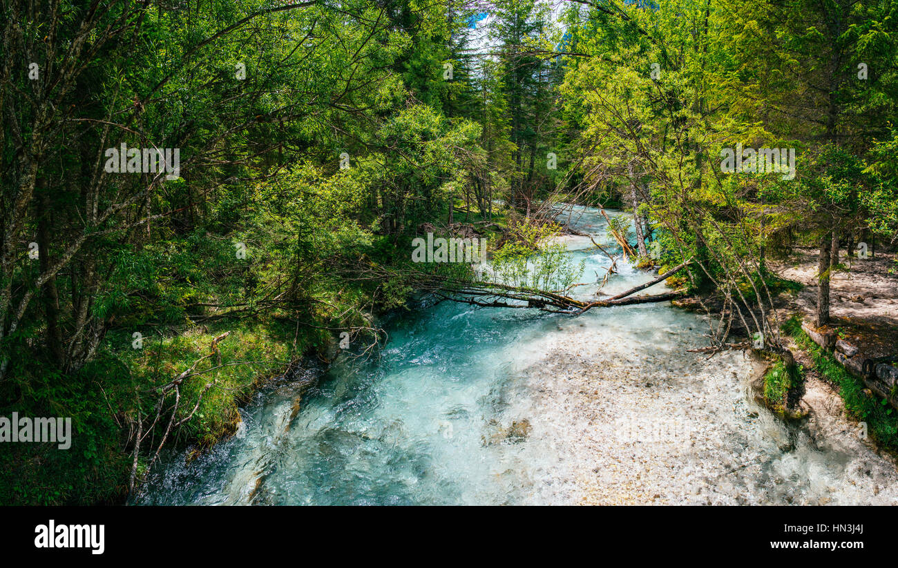 fast river in the forest Stock Photo - Alamy
