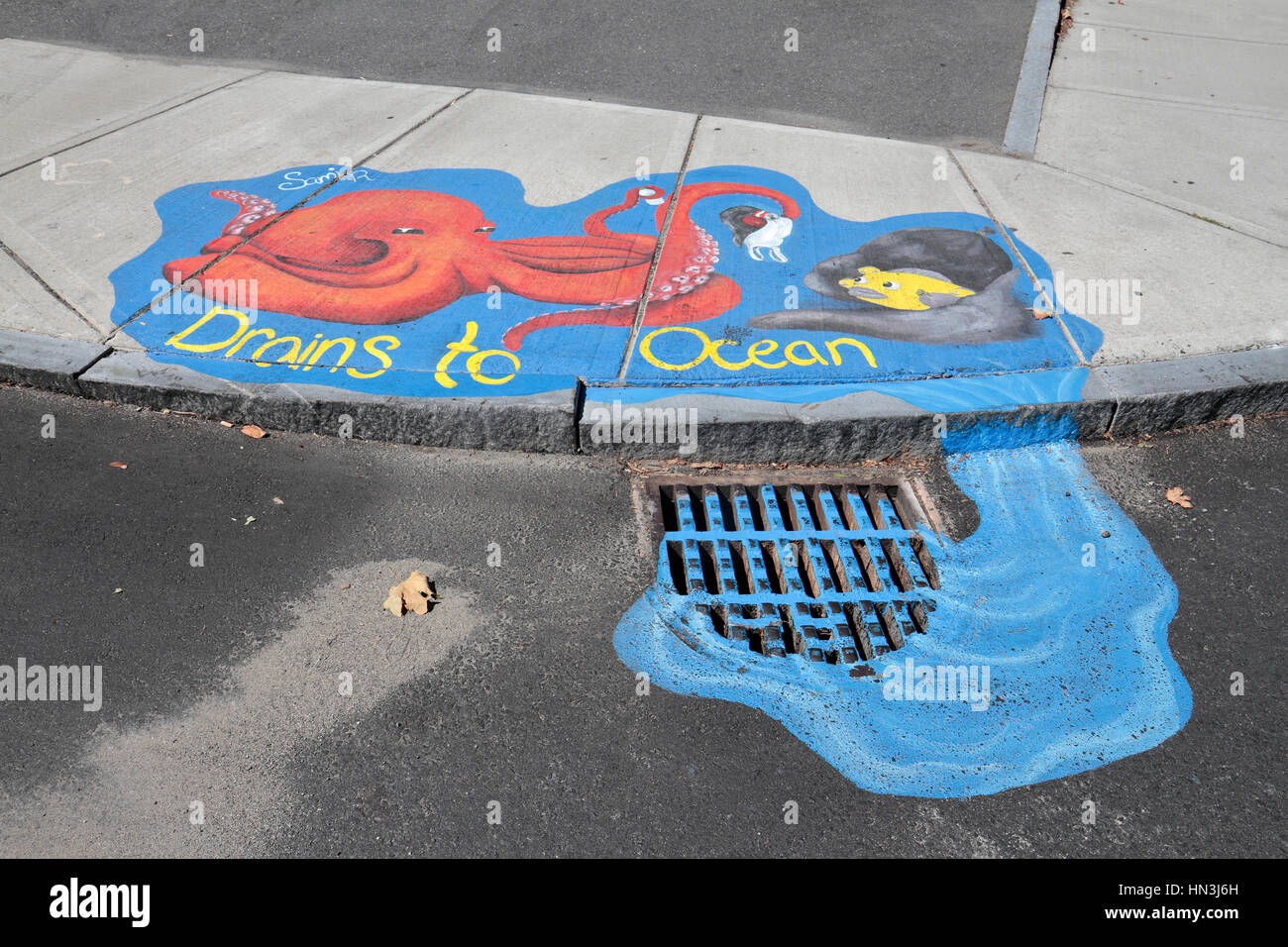 Painted drain cover and surround, part of the  'Drain SmART Salem' public art project in Salem, Massachusetts, United States. Stock Photo