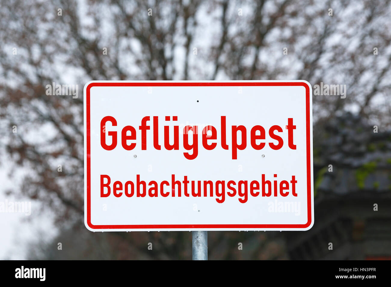 Warning sign bird flu, avian influenza surveillance area, Pinneberg, Schleswig-Holstein, Germany Stock Photo
