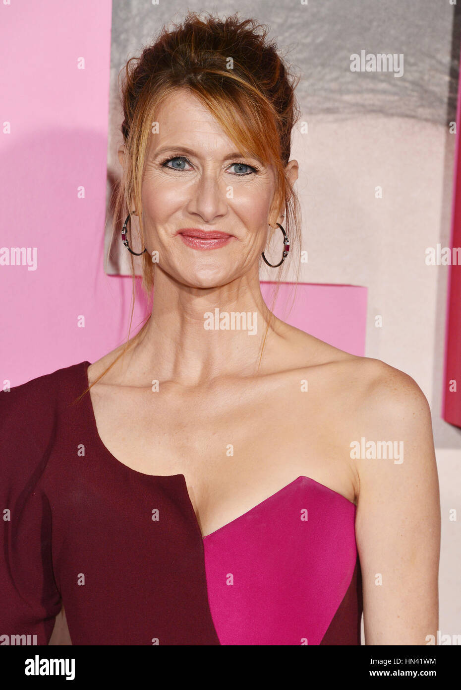 Los Angeles, USA. 07th Feb, 2017. Laura Dern 076 arriving at the Big Little Lies premiere at the TCL Chinese Theatre in Los Angeles. February 7, 2017. Credit: Tsuni/USA/Alamy Live News Stock Photo