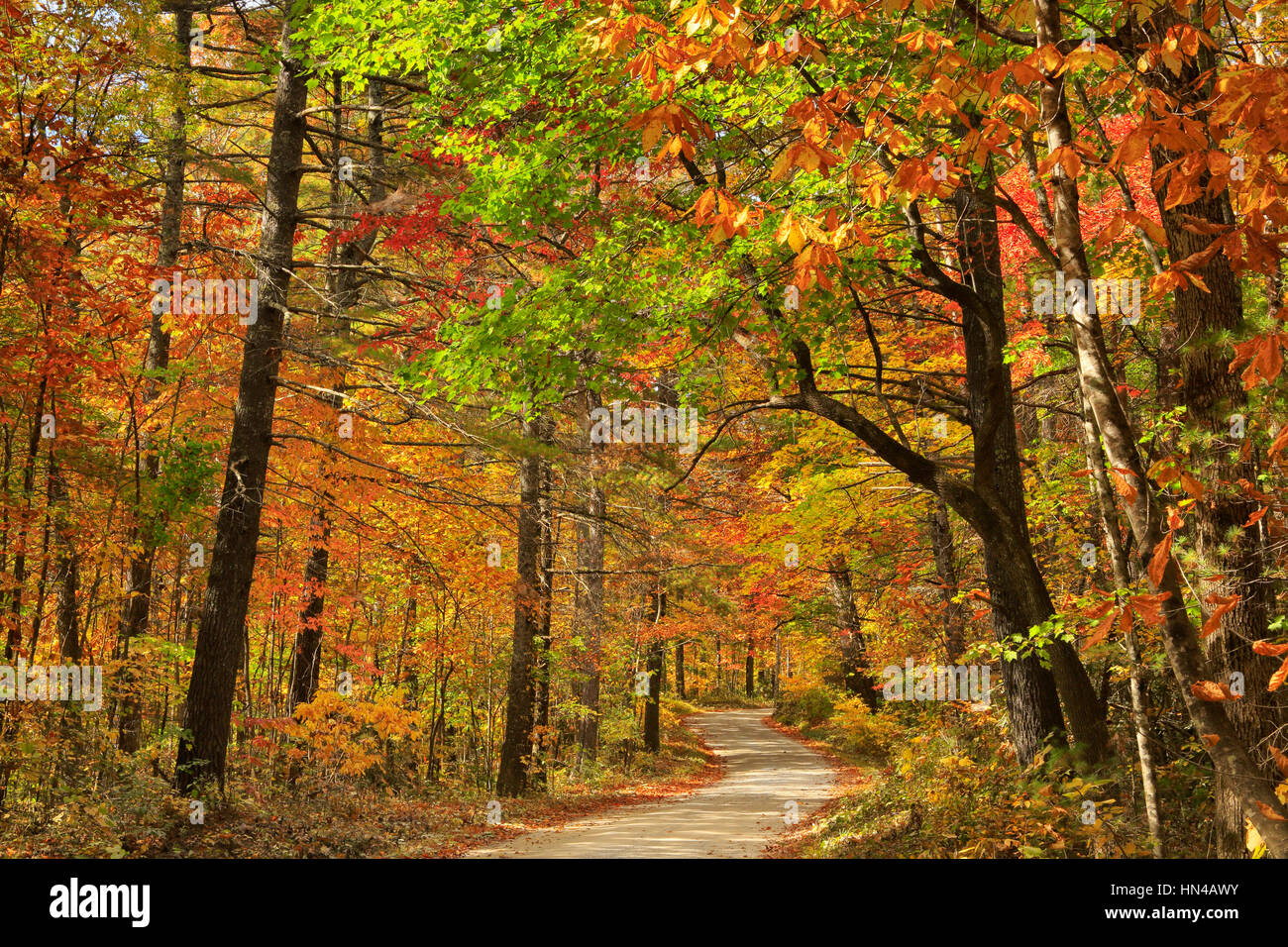 Old NC 105, Linville Gorge Area, Blue Ridge Parkway, Linville, North ...