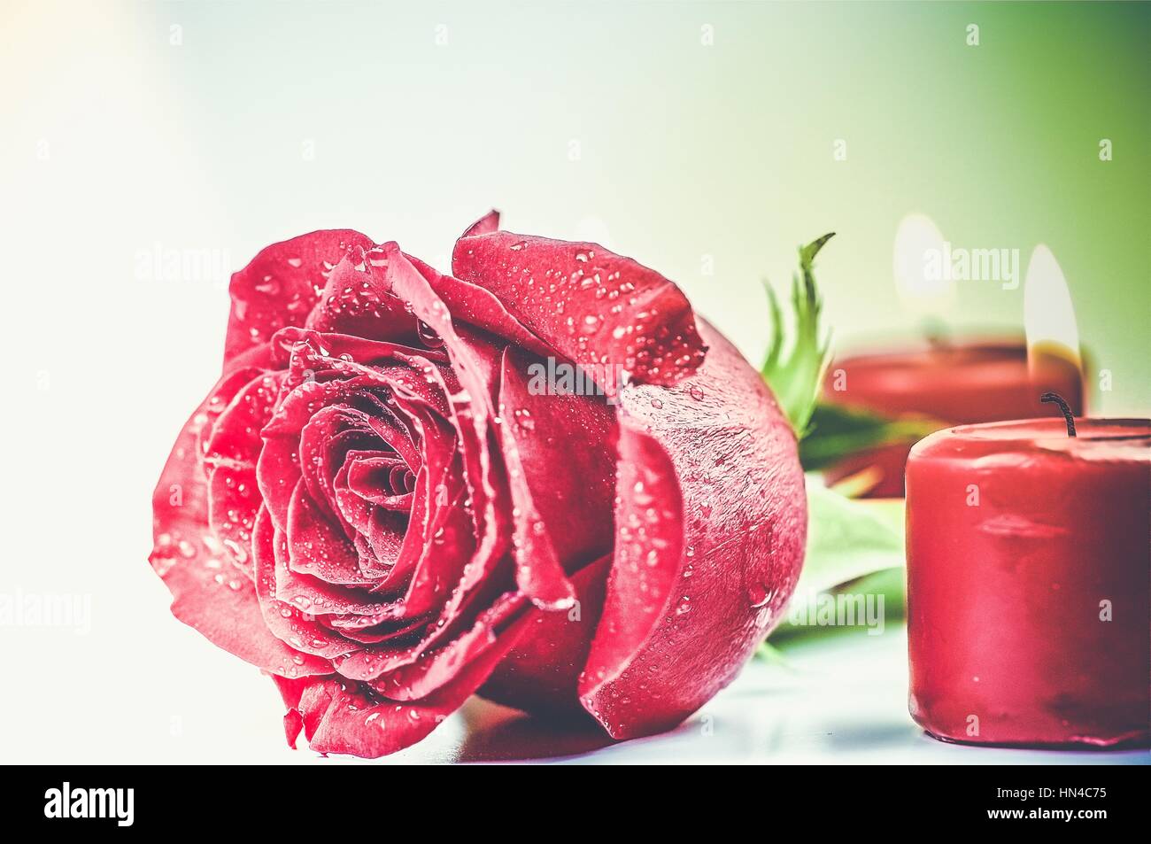 Romantic Red Rose with Burning Red Candles Valentines Day and Love