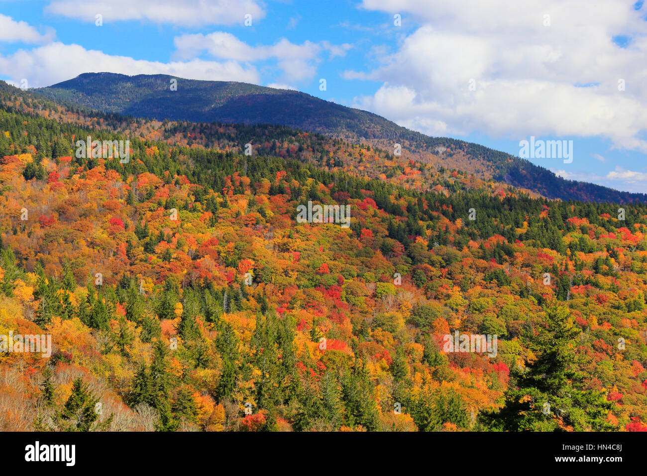 Mt. Mitchell Area, Blue Ridge Parkway, Black Mountain, North Carolina, USA Stock Photo Alamy