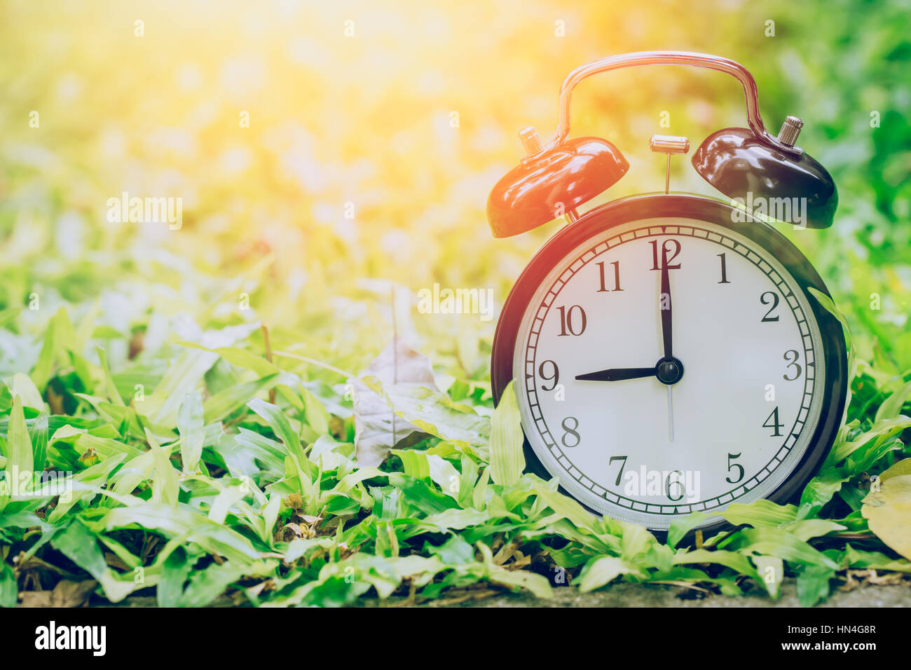 9-o-clock-retro-clock-in-the-garden-grass-field-with-sun-light-stock