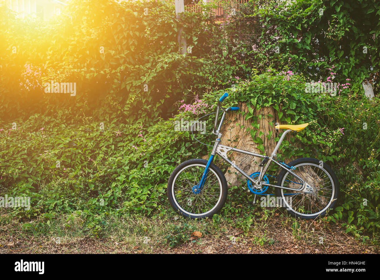 off-road bike cycling in green nature and sunlight background Stock Photo -  Alamy