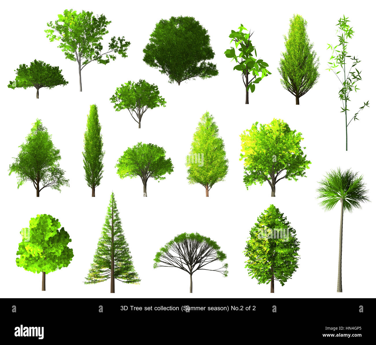 Green leaf Tree summer season set for architecture landscape design, 3D