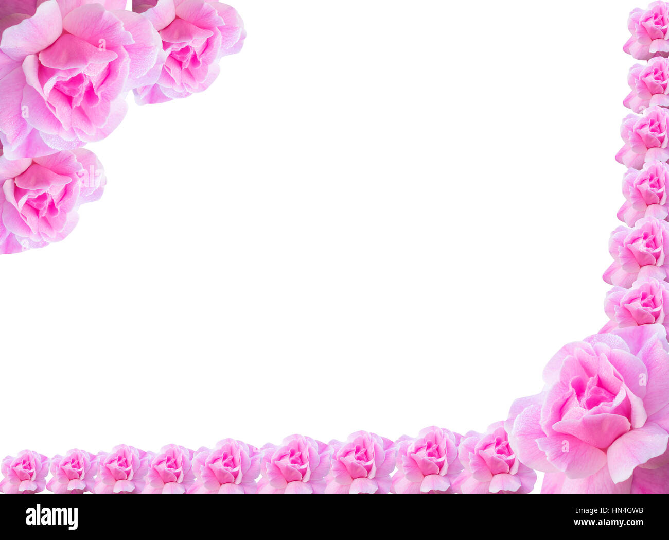 pink roses for valentine Stock Photo - Alamy