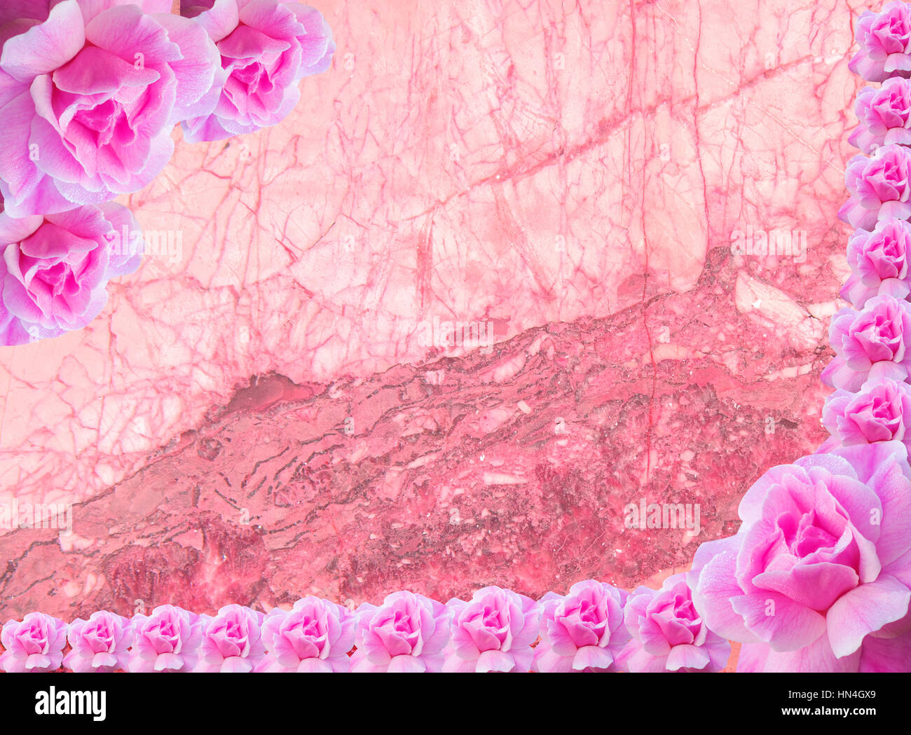 pink roses for valentine Stock Photo - Alamy