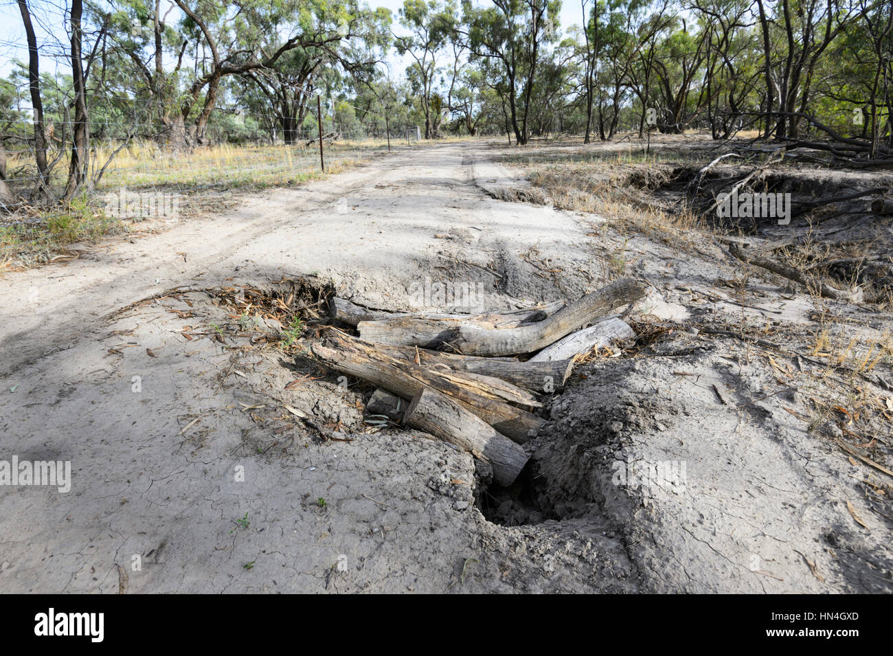 Eroded and damaged Outback dirt track, Bindara Station, New South Wales, Australia Stock Photo