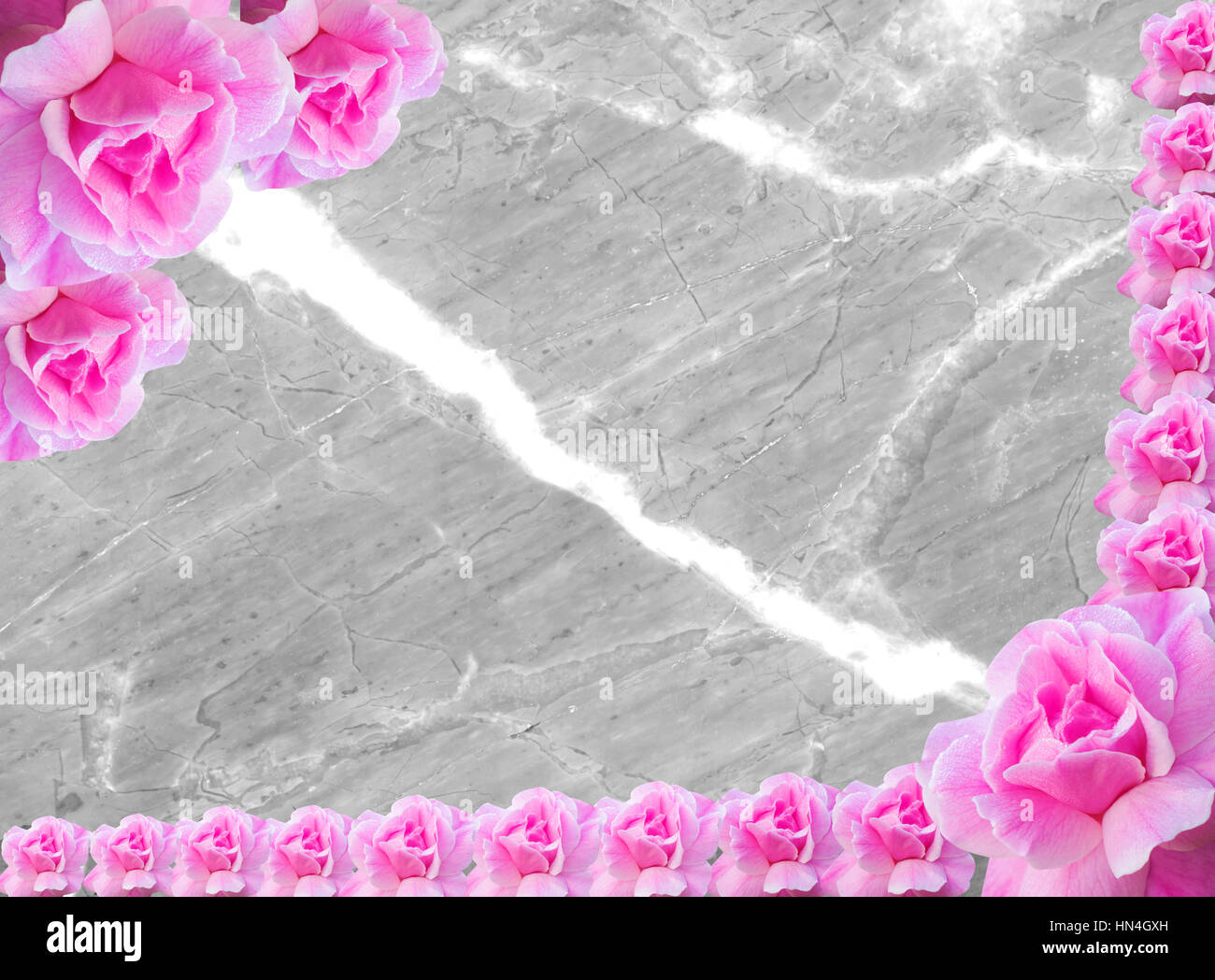 pink roses for valentine Stock Photo - Alamy