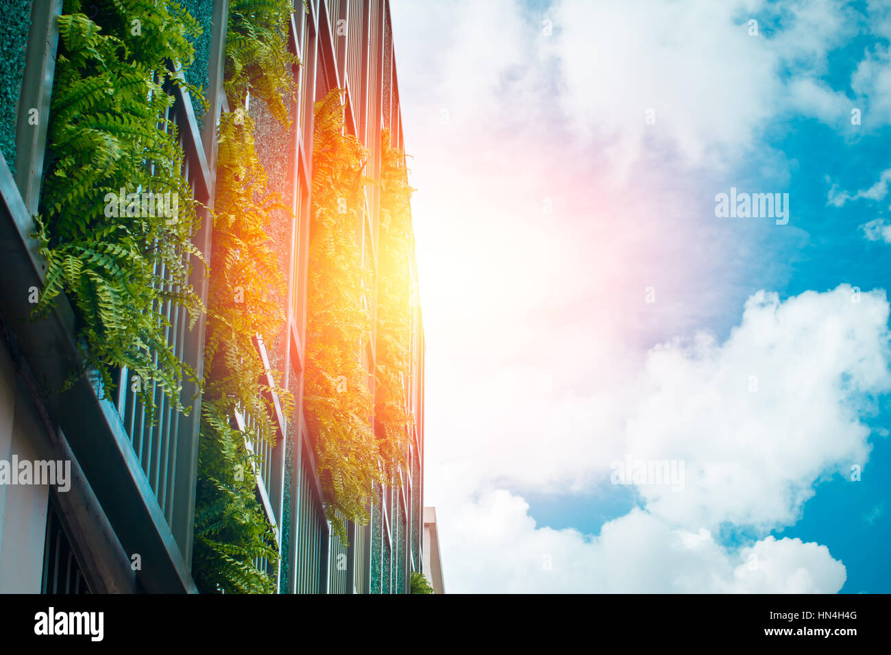 vertical garden at the building wall with blue sky, modern office ...