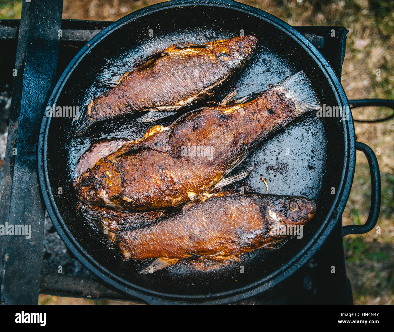 Cast Iron Trout - Over The Fire Cooking