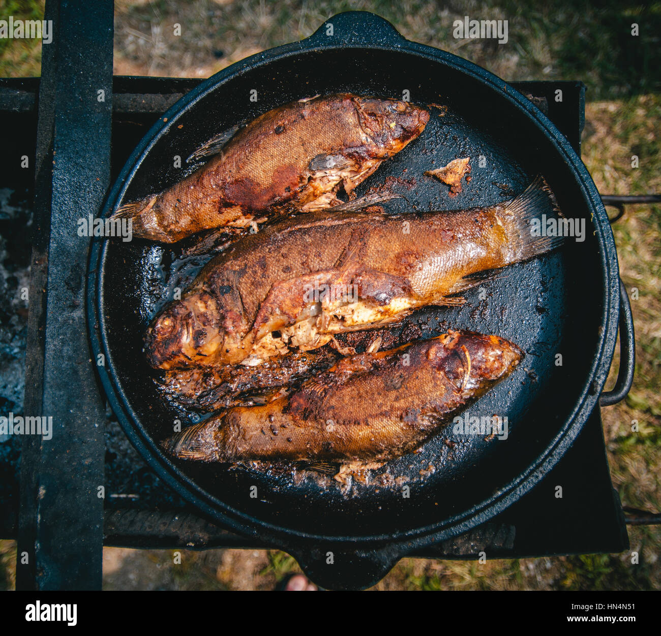 Bacon in a Cast Iron Frying Pan Cooking on a Campfire ! Stock Photo - Image  of black, cooking: 102405834
