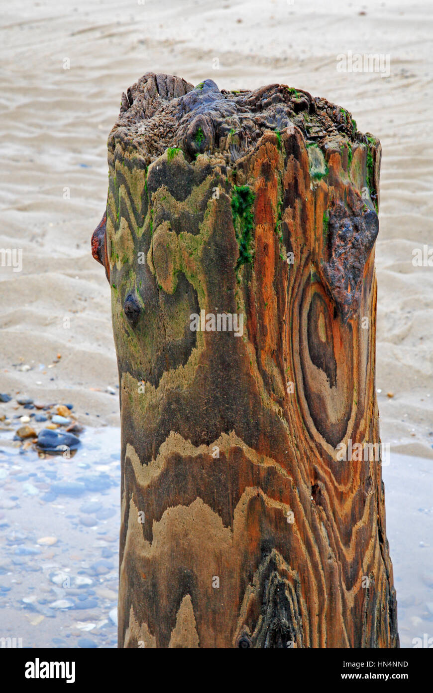 An old weathered breakwater post on the beach at Mundesley-on-Sea, Norfolk, England, United Kingdom. Stock Photo