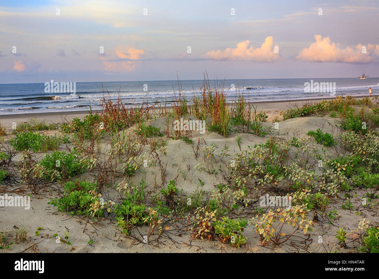 Sunrise at the dunes of the beach at Kiawah Island, South Carolina. Stock Photo