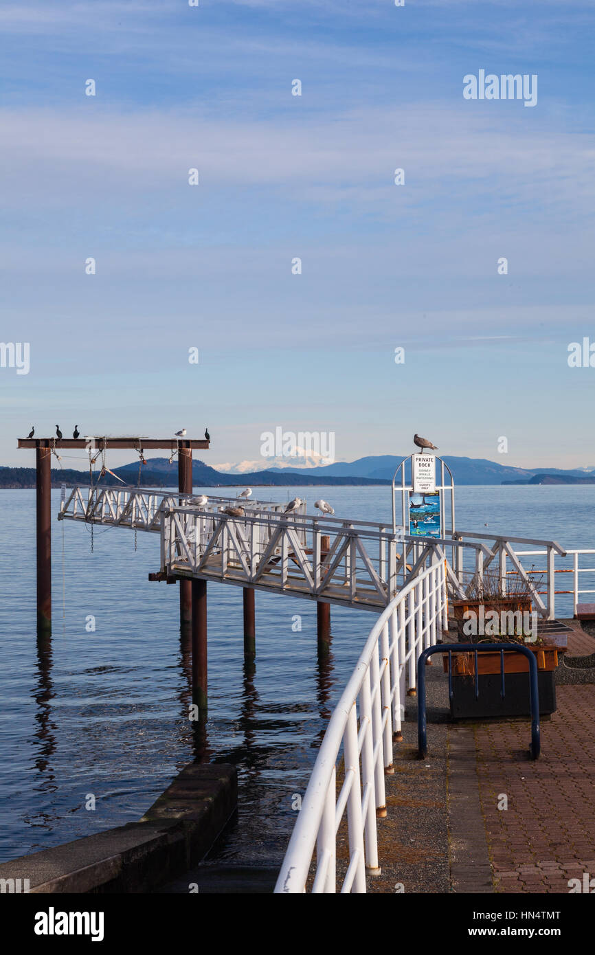 Whale watching tours hi-res stock photography and images - Alamy