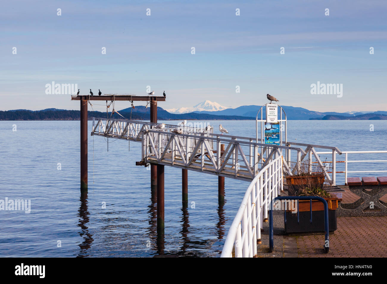 Whale watching tours hi-res stock photography and images - Alamy