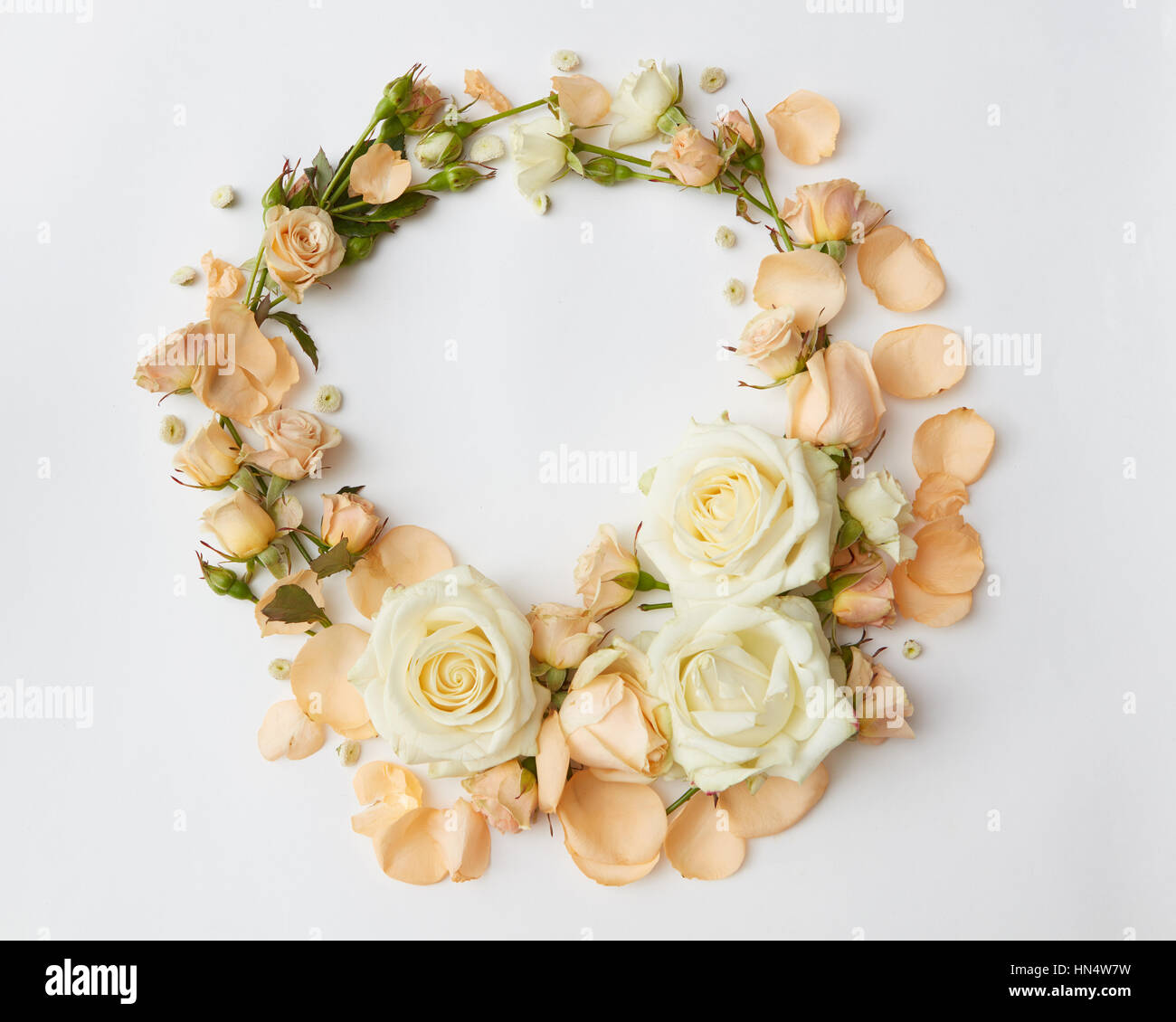 Circle of roses represented over white background. Beautiful ornament ...