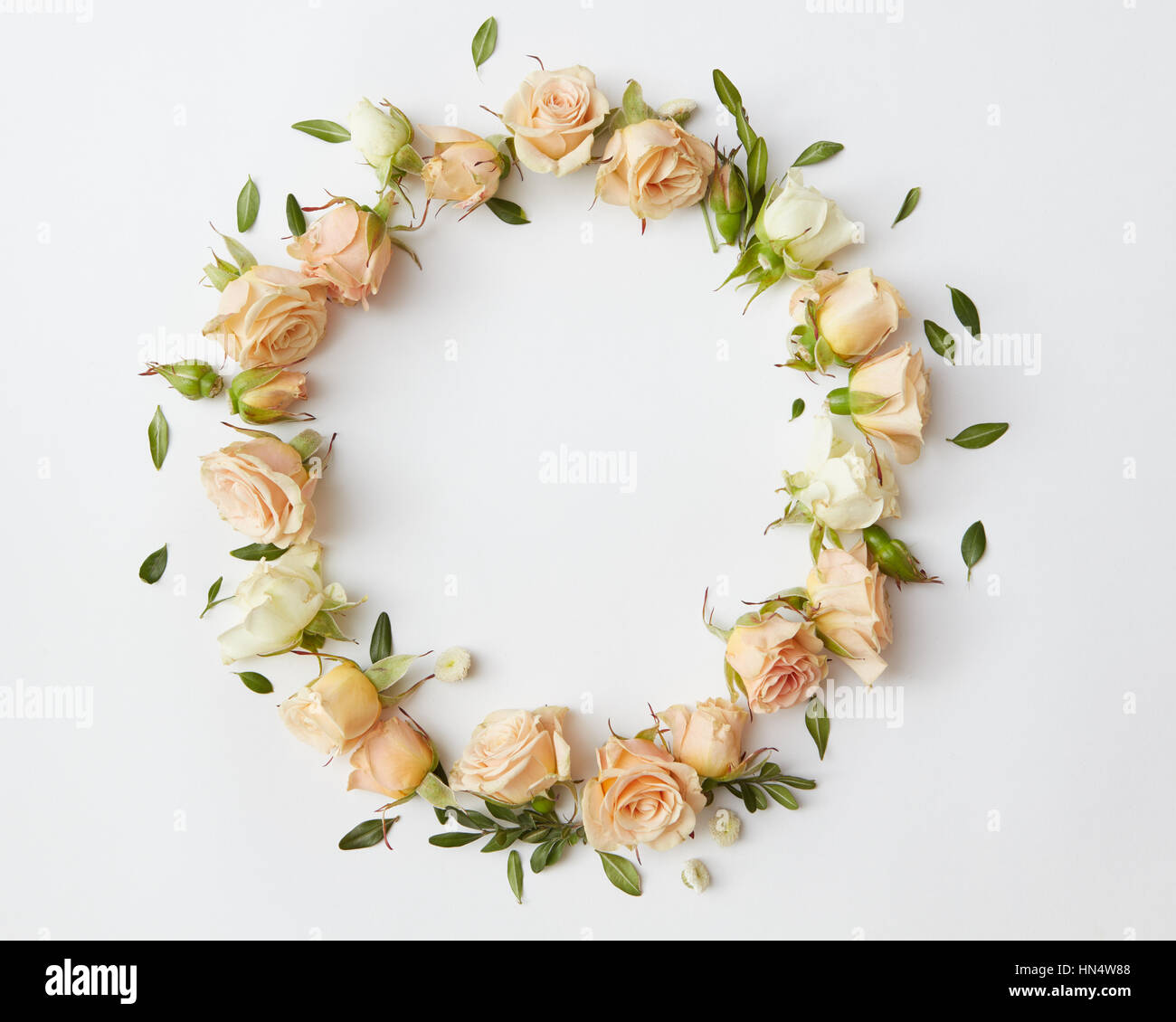 Circle Rustic Roses Circle of beautiful roses with little green leaves represented over ...