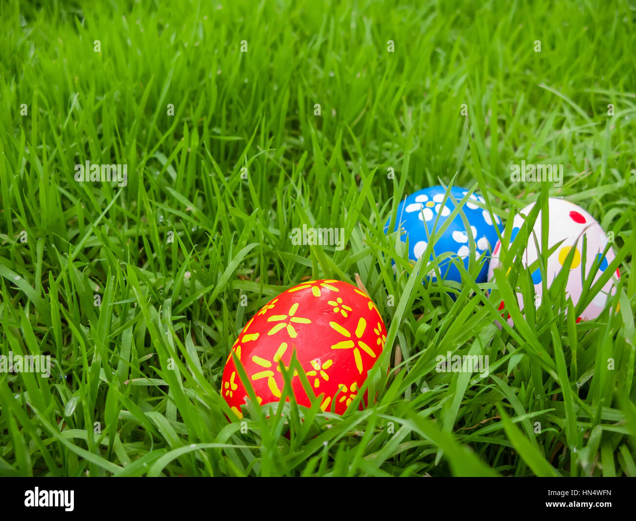 Easter eggs hidden in the grass for the hunt /// lawn egg hiding ...
