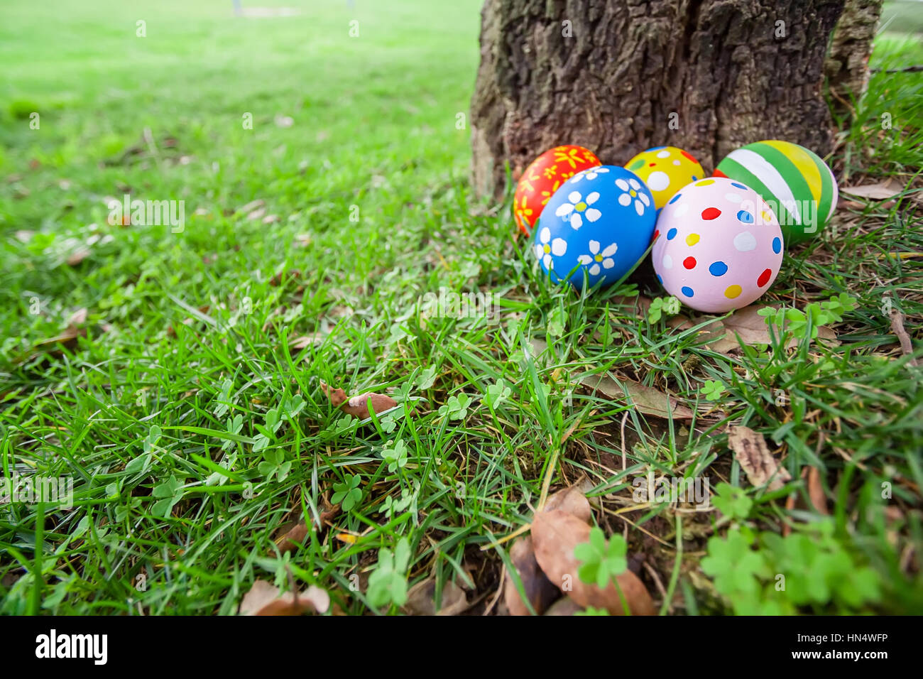 Easter eggs hidden behind a tree trunk for the hunt game hiding egg painted green meadow grass lawn decorated holiday spring celebration gift Stock Photo Alamy