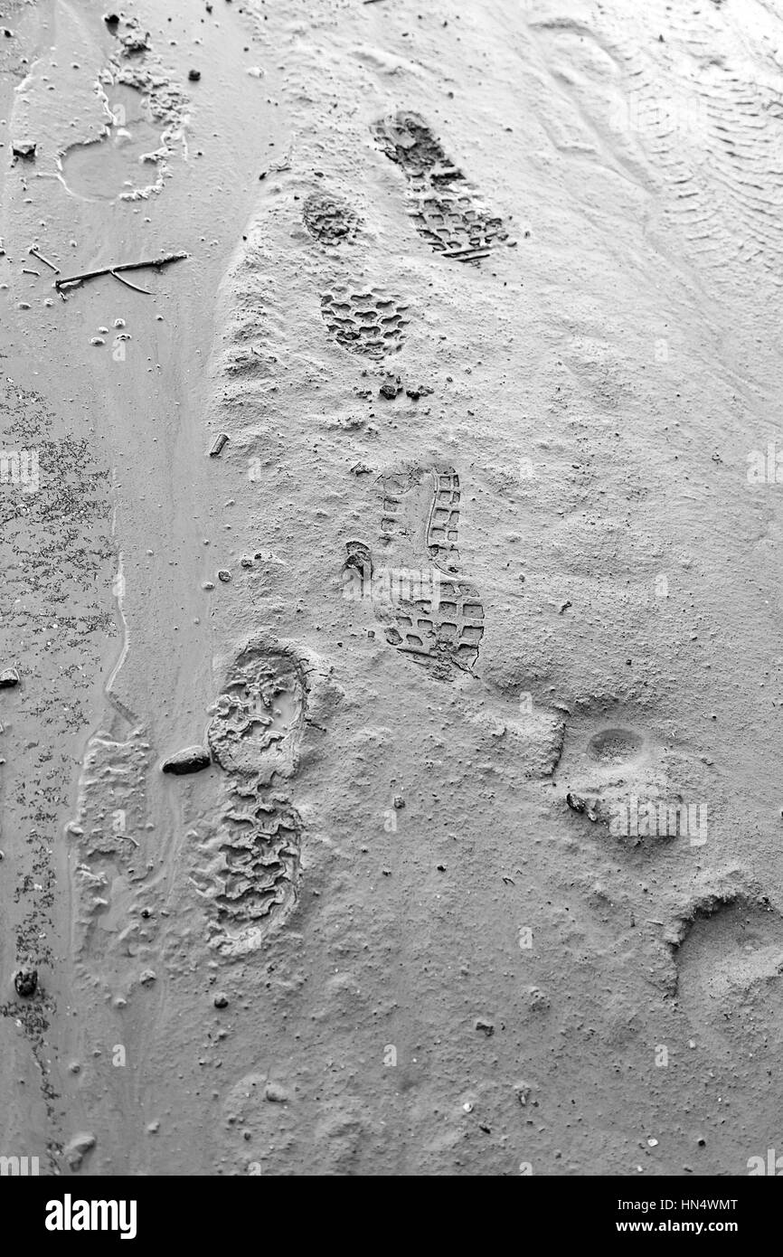 Footprints in the sand, detail of some footprints Stock Photo Alamy