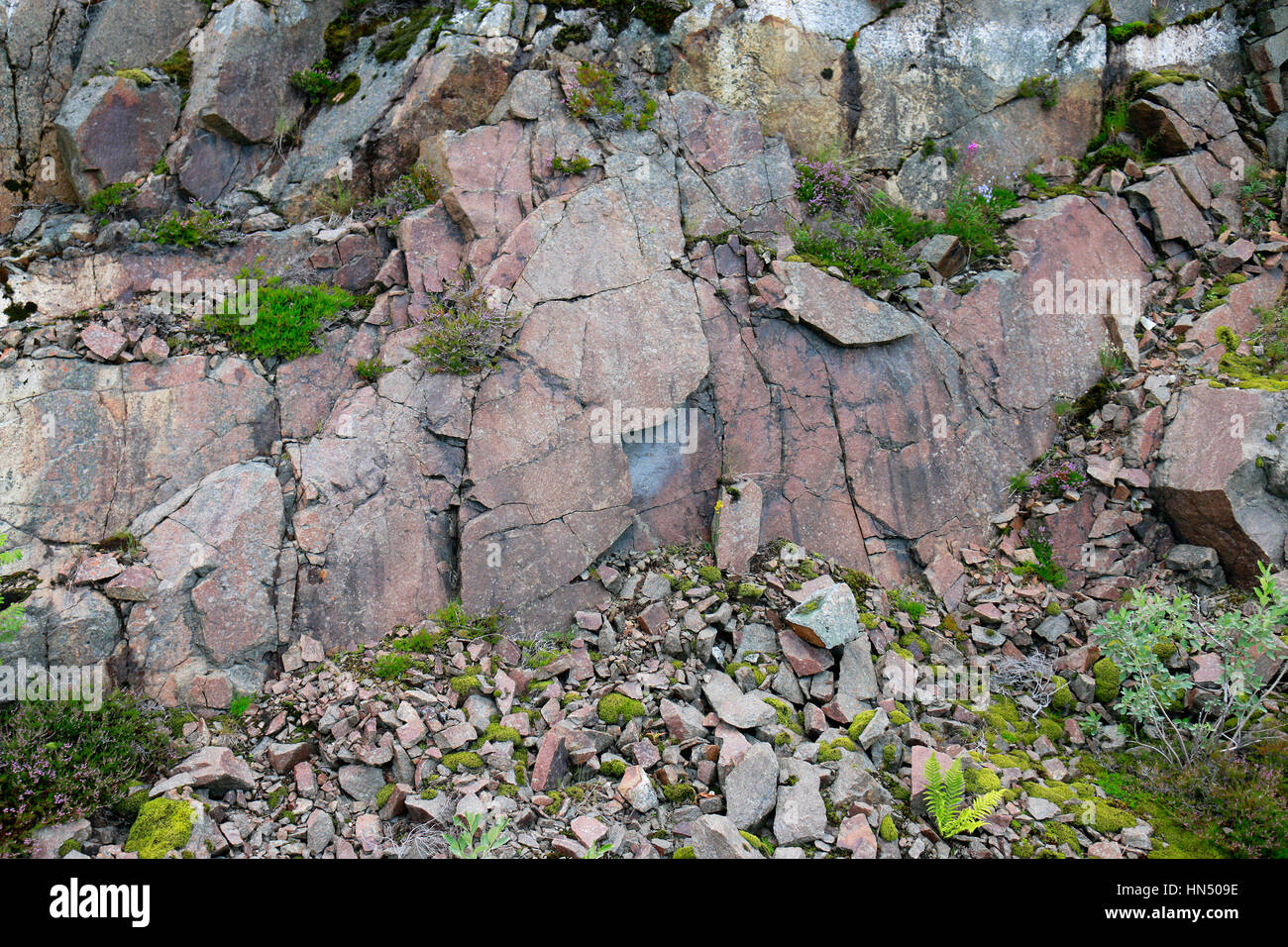 Impressionen: Granitgestein, Arstein, Lofoten, Norwegen. Stock Photo