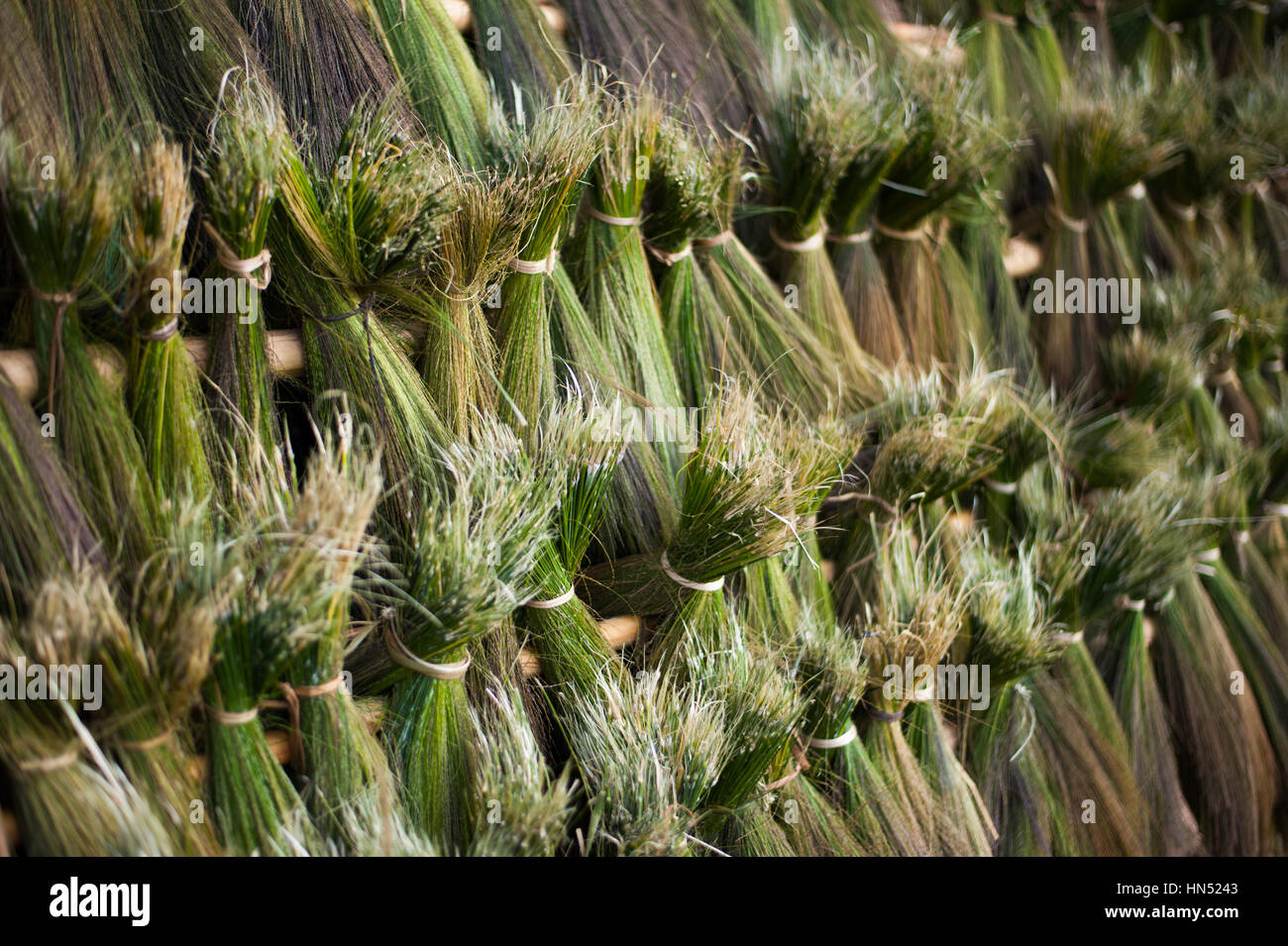 Drying grass hires stock photography and images Alamy