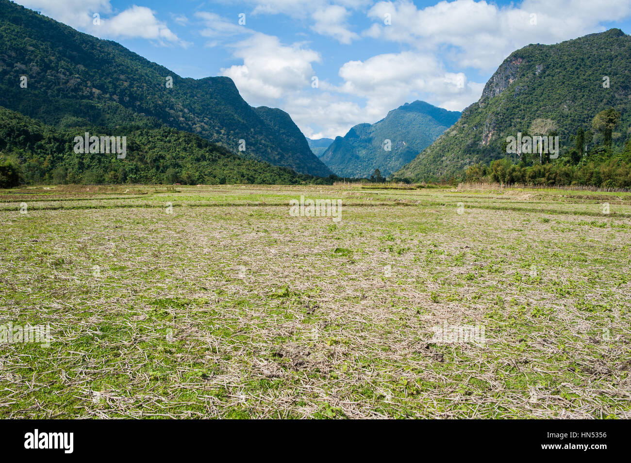 Exploring rice fields hi-res stock photography and images - Alamy