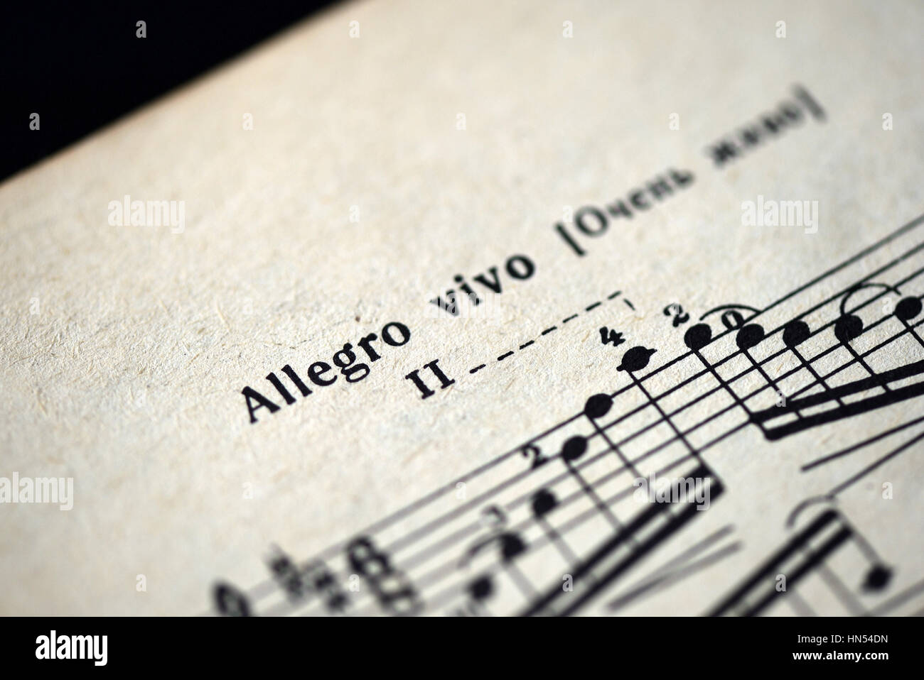 Musical tempo "Allegro vivo" in a music notebook close up Stock Photo -  Alamy