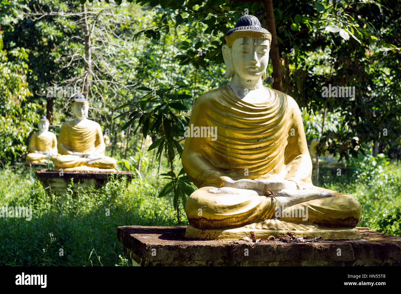 Explore The Birthplace Of Buddha With Our Private Lumbini Day Tour