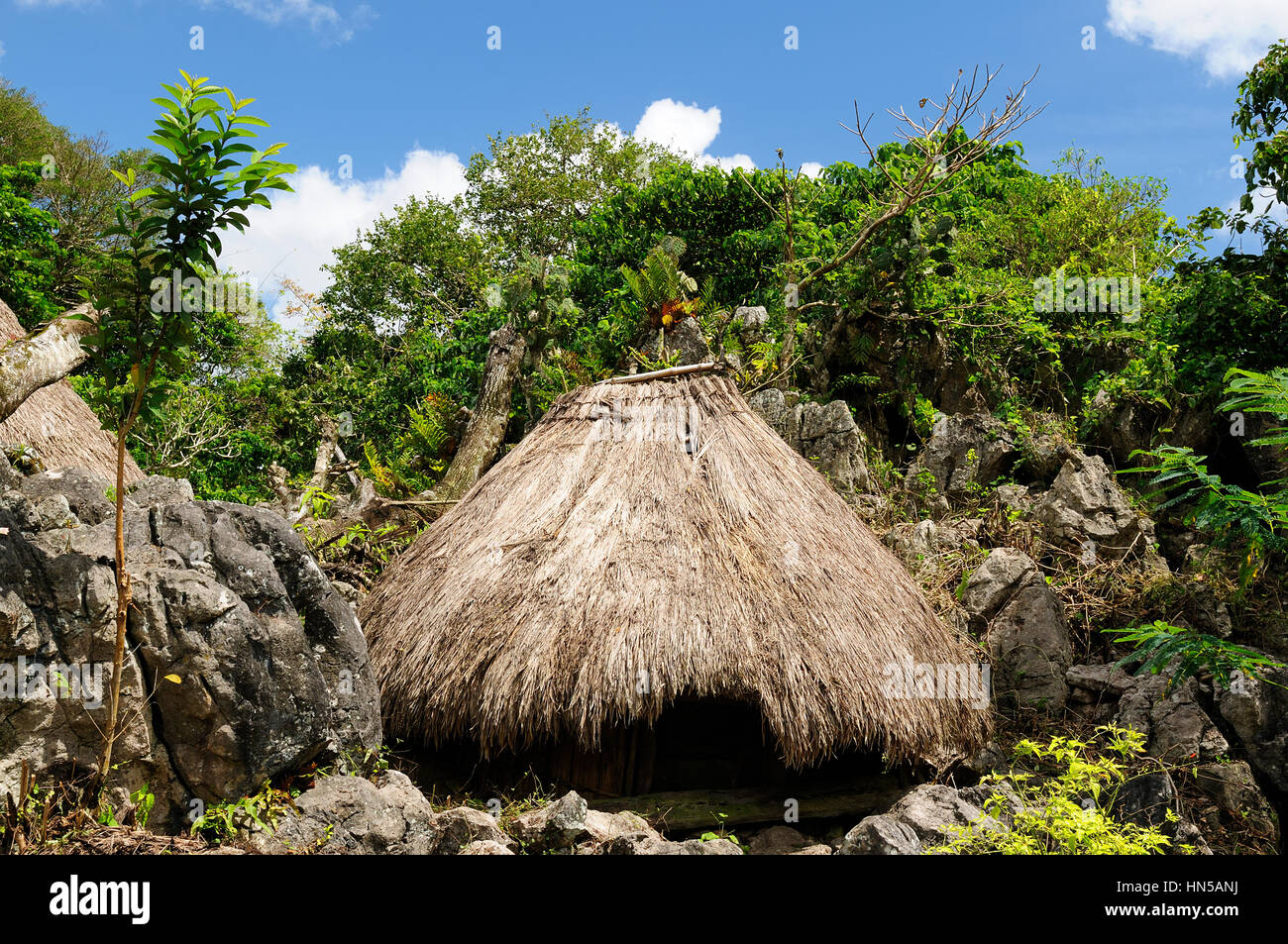 Straw house in the ethnic village on an Timor island Stock Photo