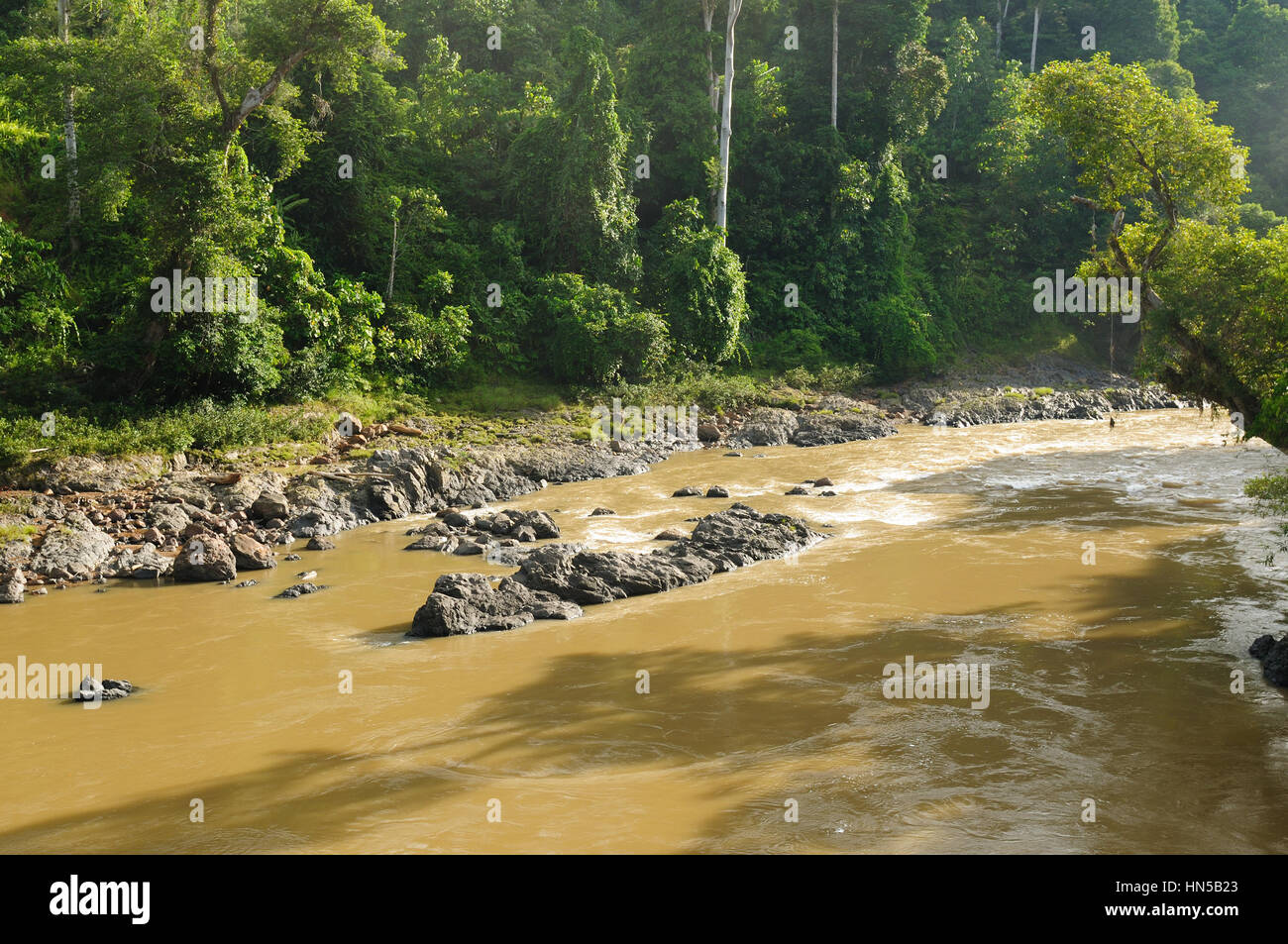 Scenic view of wild tropical jungle near the Mahak river, Malinau province , East Kalimantan, Indonesia Borneo. Stock Photo