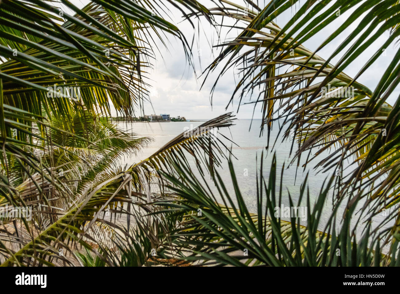Overlooking Half-moon bay through palm leaves in Akumal (Place of the Turtles) along the Riviera Maya in Quintana Roo, Mexico. Stock Photo