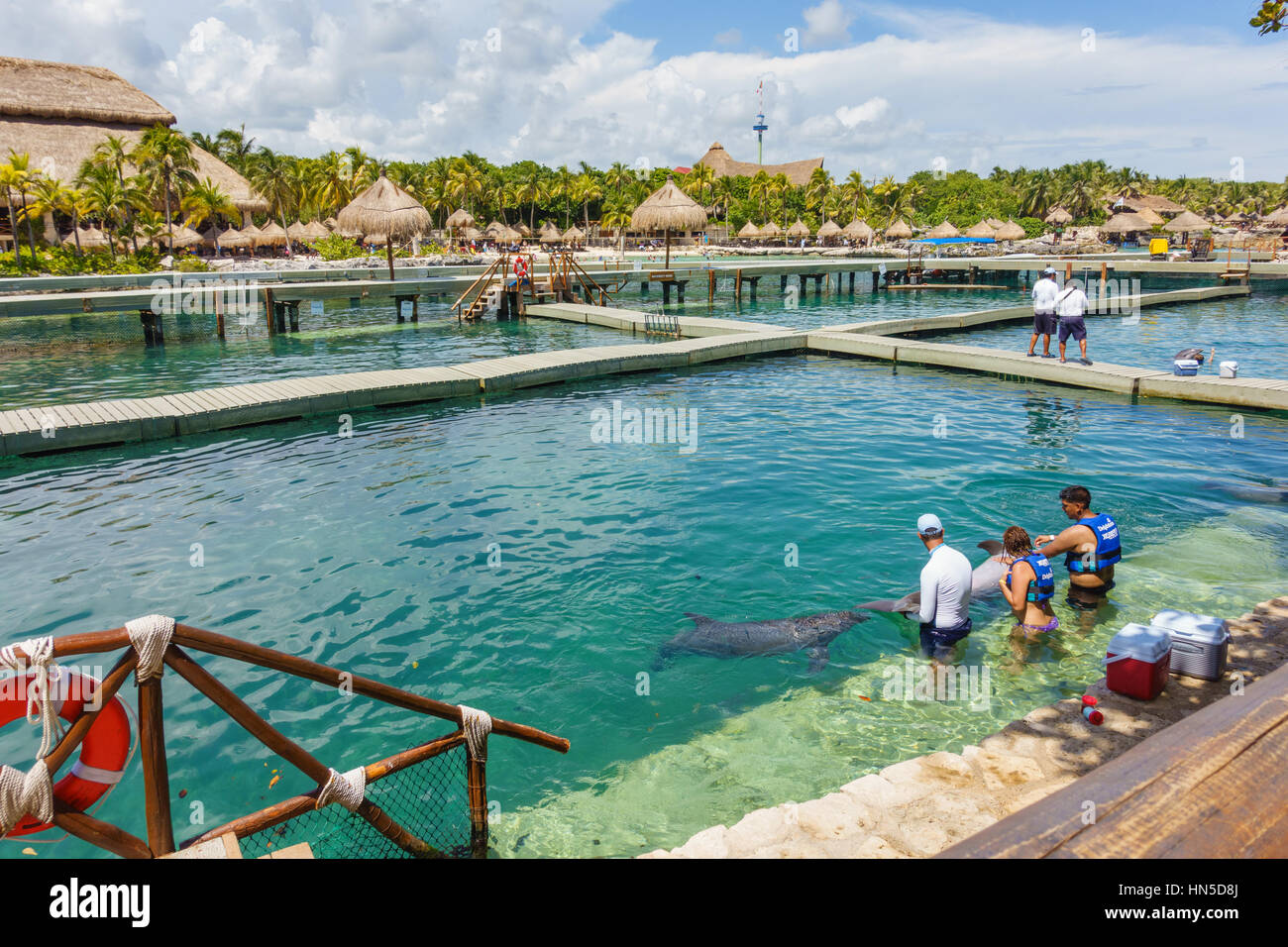 Tourists preparing to swim with dolphins in the lagoon at Xcaret eco park in Quintano Roo, Mexico. Stock Photo