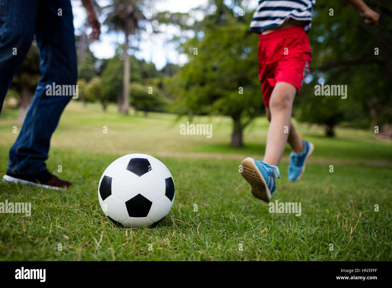 Low section of father and son playing football in park Stock Photo - Alamy
