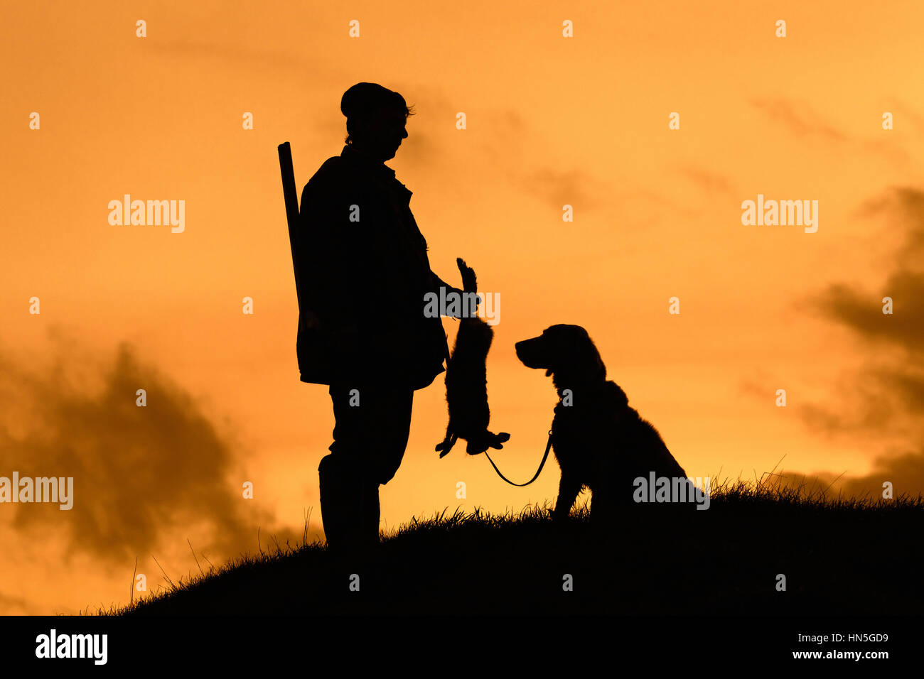 Hunter with dead brown Hare and Weimaraner dog silhouetted against the evening sky Stock Photo
