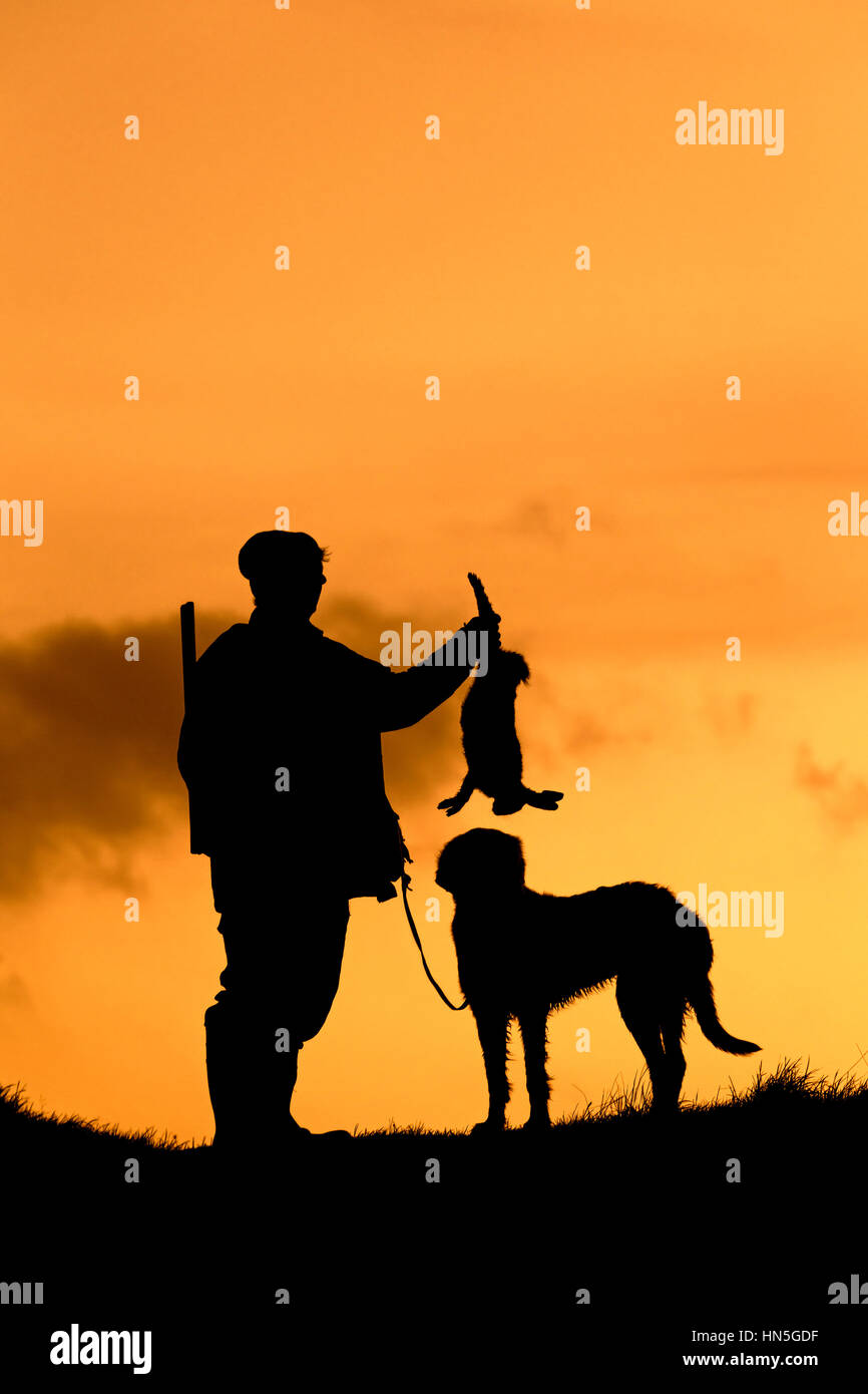 Hunter with dead brown Hare and Weimaraner dog silhouetted against the evening sky, Germany Stock Photo