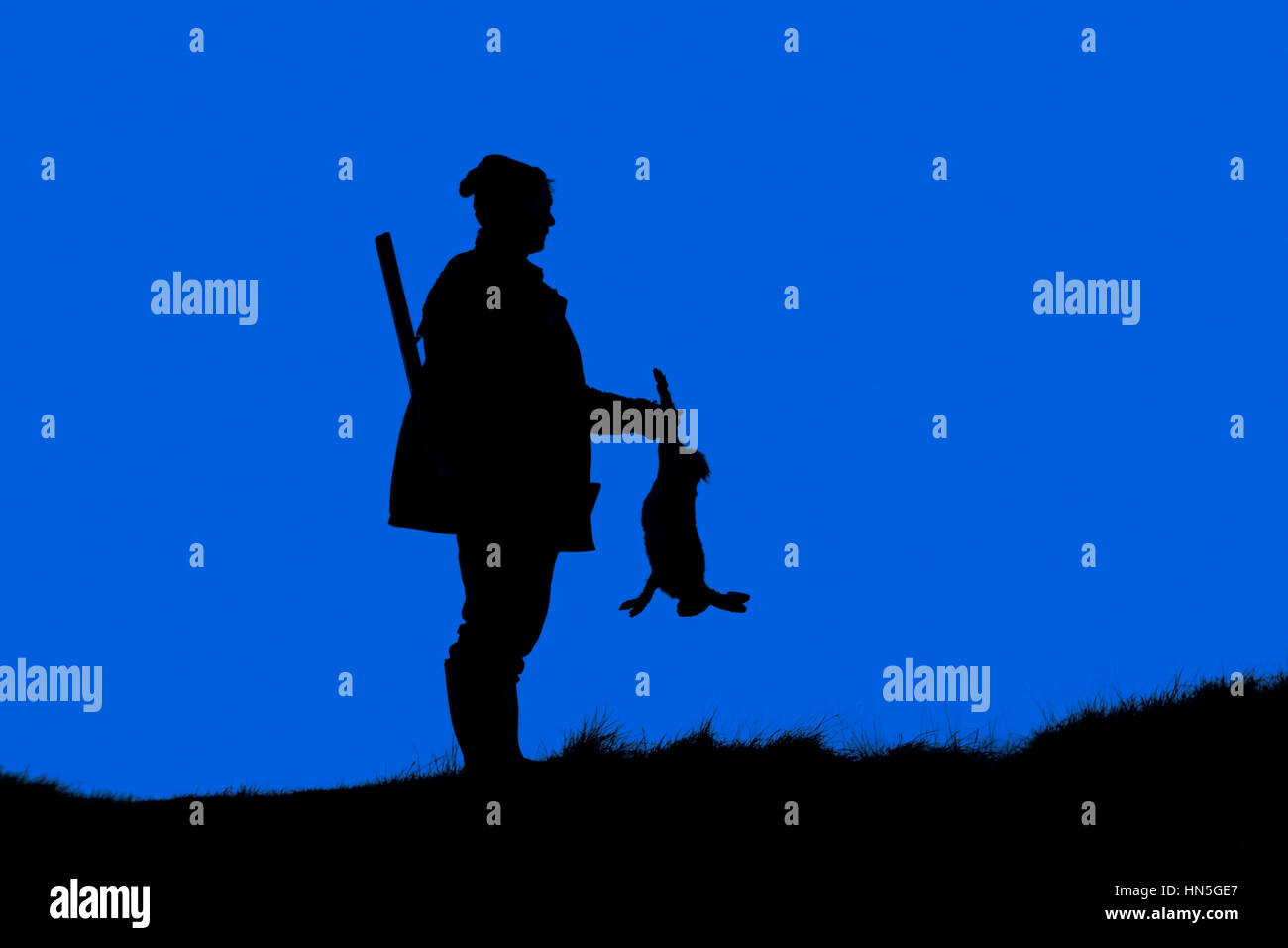 Hunter with gun holding killed brown hare silhouetted against sunset Stock Photo