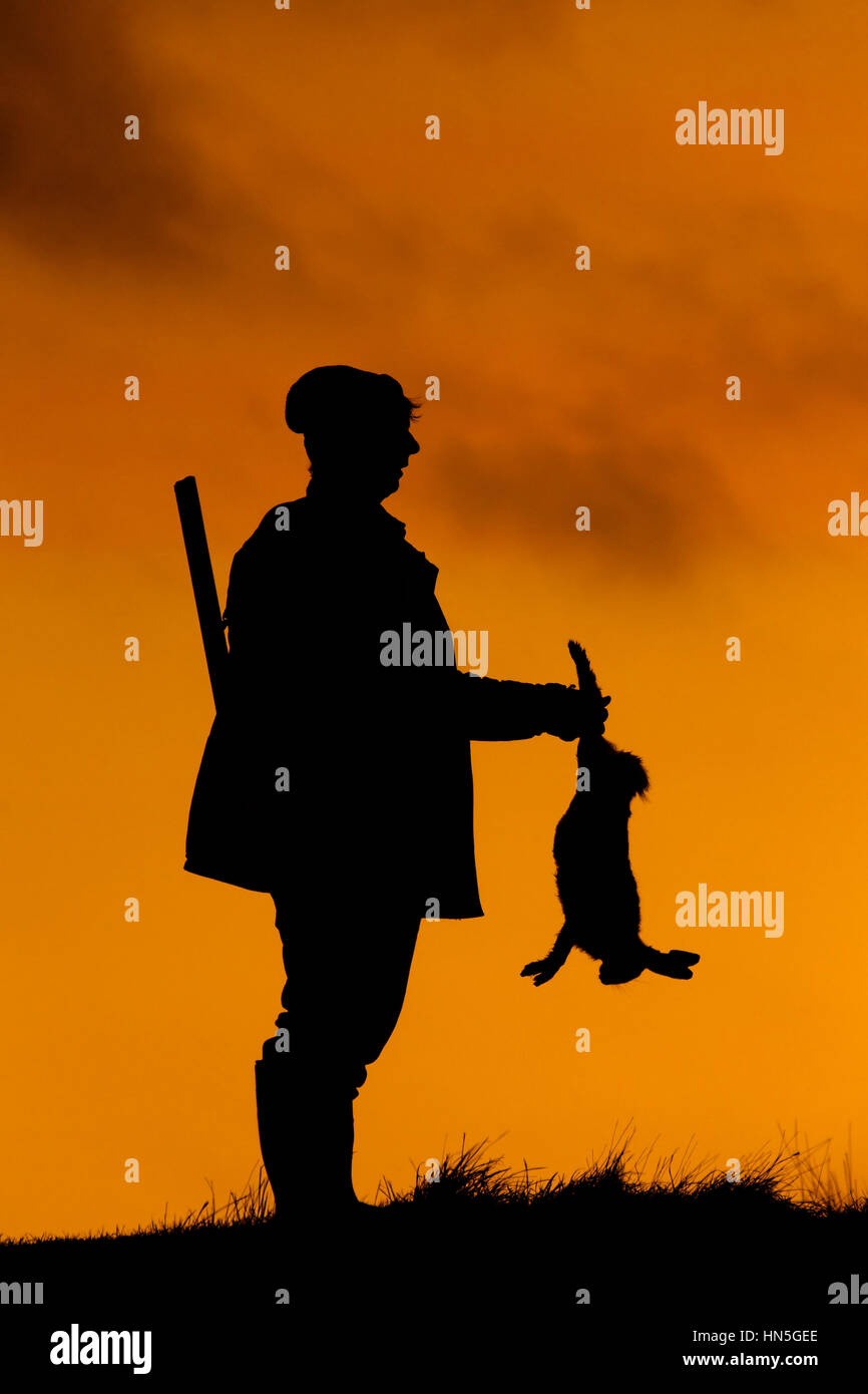 Hunter with gun holding killed brown hare silhouetted against sunset Stock Photo