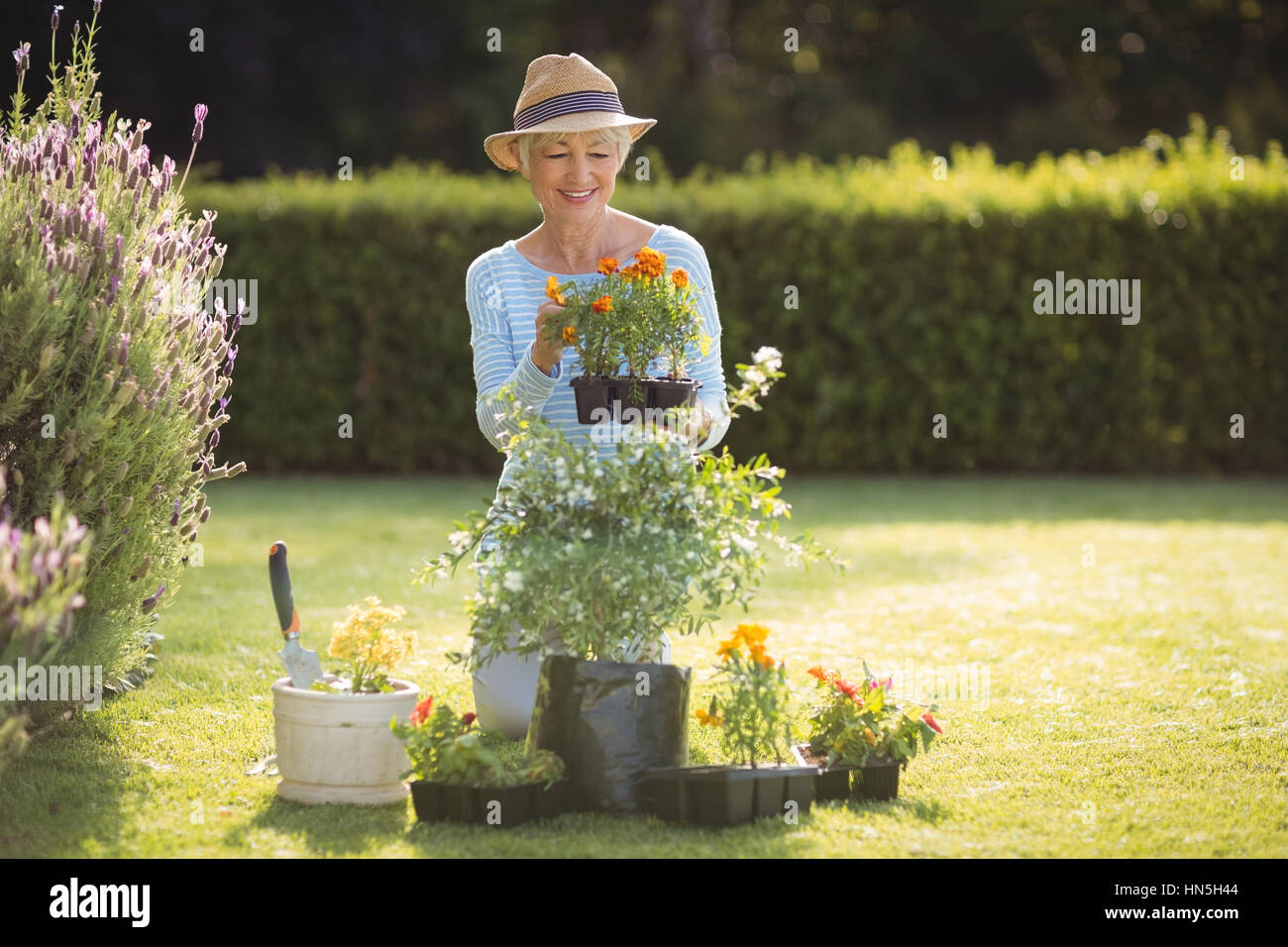 Happy senior woman gardening in backyard Stock Photo - Alamy